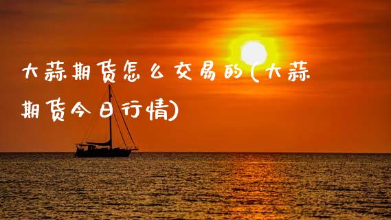 大蒜期货怎么交易的(大蒜期货今日行情)_https://www.xmqjcw.com_期货百科_第1张