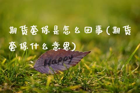 期货套保是怎么回事(期货套保什么意思)_https://www.xmqjcw.com_期货百科_第1张