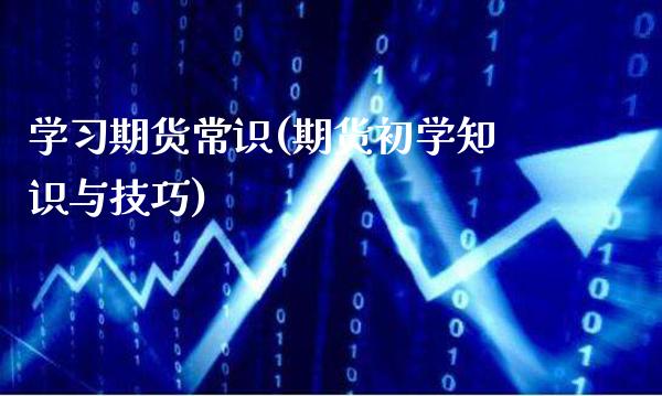 学期货常识(期货初学知识与技巧)_https://www.xmqjcw.com_期货投资_第1张