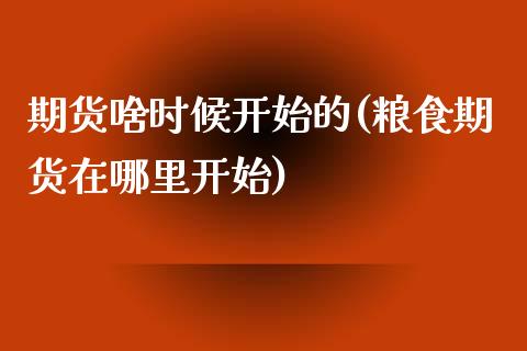 期货啥时候开始的(粮食期货在哪里开始)_https://www.xmqjcw.com_期货开户_第1张