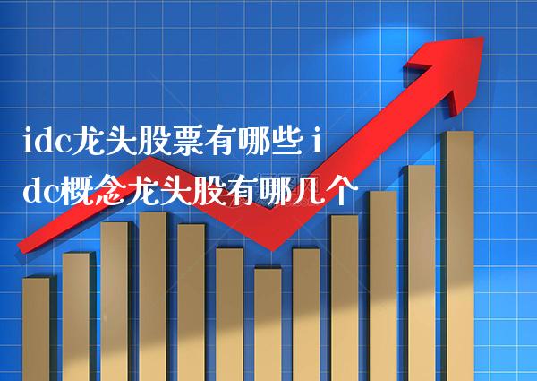 idc龙头股票有哪些 idc概念龙头股有哪几个_https://www.xmqjcw.com_股票投资_第1张