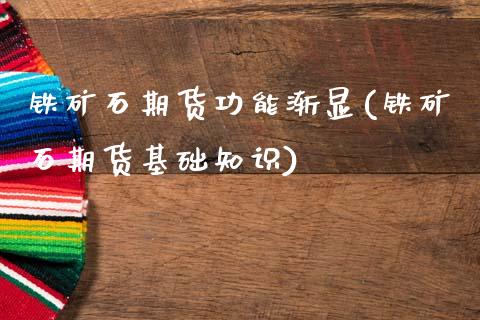 铁矿石期货功能渐显(铁矿石期货基础知识)_https://www.xmqjcw.com_期货开户_第1张