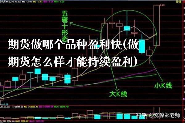 期货做哪个品种盈利快(做期货怎么样才能持续盈利)_https://www.xmqjcw.com_期货百科_第1张