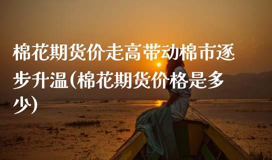 棉花期货价走高带动棉市逐步升温(棉花期货价格是多少)_https://www.xmqjcw.com_期货百科_第1张