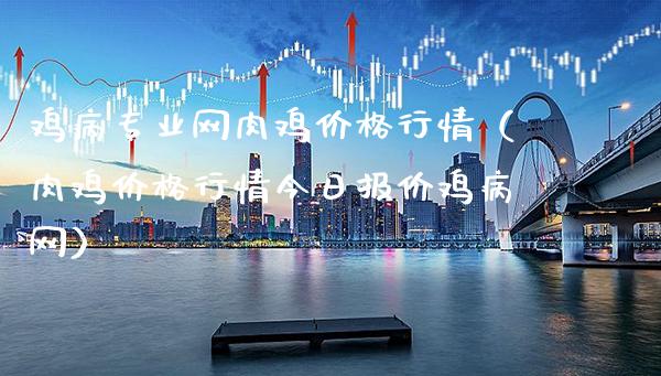 鸡病专业网肉鸡价格行情（肉鸡价格行情今日报价鸡病网）_https://www.xmqjcw.com_期货投资_第1张