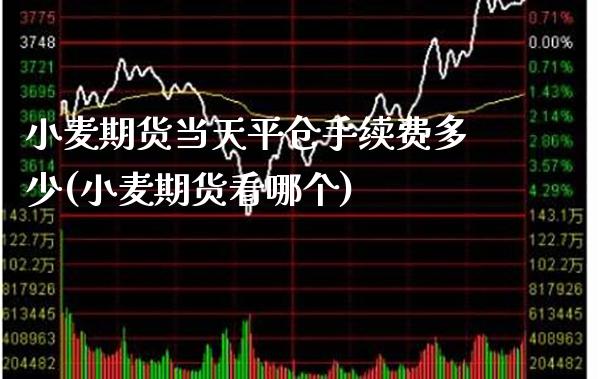 小麦期货当天平仓手续费多少(小麦期货看哪个)_https://www.xmqjcw.com_期货百科_第1张