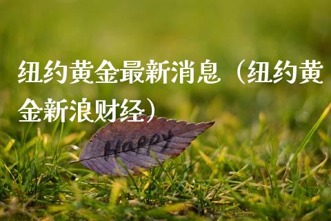 纽约黄金最新消息（纽约黄金新浪财经）_https://www.xmqjcw.com_期货直播室_第1张