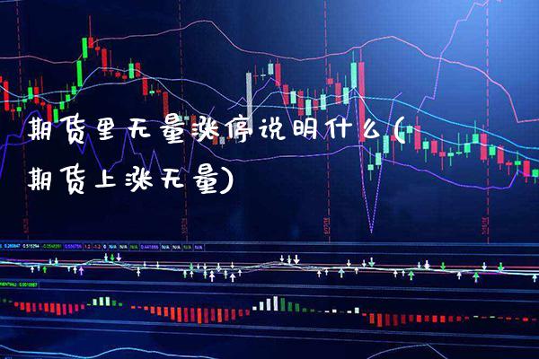 期货里无量涨停说明什么(期货上涨无量)_https://www.xmqjcw.com_期货投资_第1张