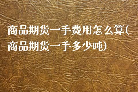商品期货一手费用怎么算(商品期货一手多少吨)_https://www.xmqjcw.com_期货开户_第1张