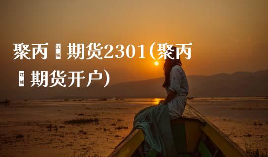 聚丙烯期货2301(聚丙烯期货开户)_https://www.xmqjcw.com_期货百科_第1张