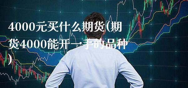 4000元买什么期货(期货4000能开一手的品种)_https://www.xmqjcw.com_期货直播室_第1张