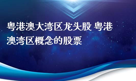 粤港澳大湾区龙头股 粤港澳湾区概念的股票_https://www.xmqjcw.com_股票投资_第1张
