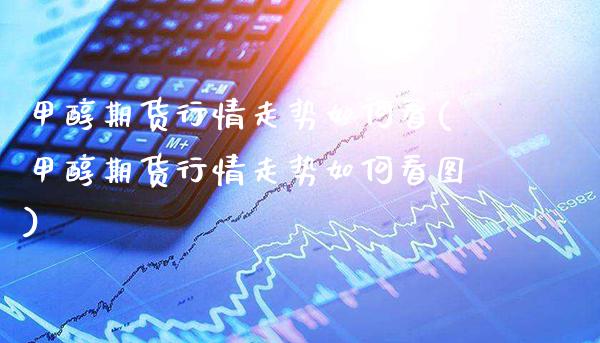 甲醇期货行情走势如何看(甲醇期货行情走势如何看图)_https://www.xmqjcw.com_期货百科_第1张