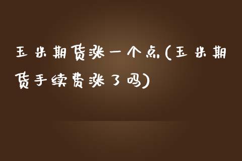 玉米期货涨一个点(玉米期货手续费涨了吗)_https://www.xmqjcw.com_期货直播室_第1张