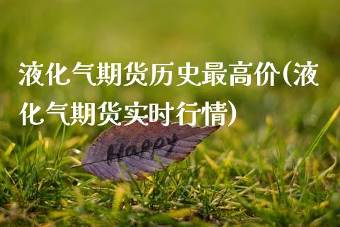 液化气期货历史最高价(液化气期货实时行情)_https://www.xmqjcw.com_期货百科_第1张