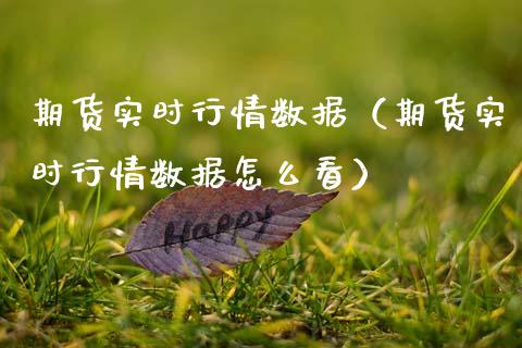 期货实时行情数据（期货实时行情数据怎么看）_https://www.xmqjcw.com_期货投资_第1张