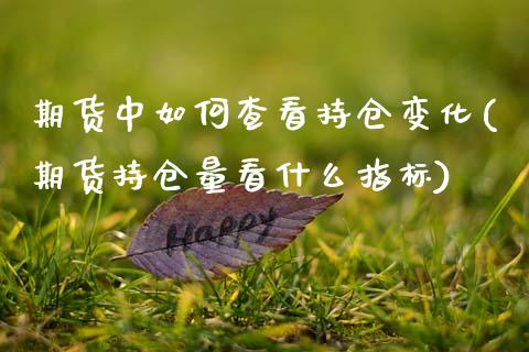 期货中如何查看持仓变化(期货持仓量看什么指标)_https://www.xmqjcw.com_期货百科_第1张