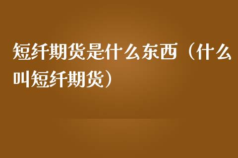 短纤期货是什么东西（什么叫短纤期货）_https://www.xmqjcw.com_期货直播室_第1张