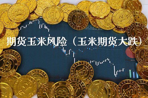 期货玉米风险（玉米期货大跌）_https://www.xmqjcw.com_期货开户_第1张