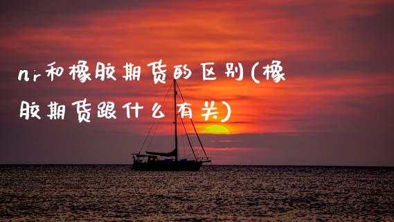 nr和橡胶期货的区别(橡胶期货跟什么有关)_https://www.xmqjcw.com_期货百科_第1张