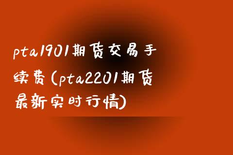 pta1901期货交易手续费(pta2201期货最新实时行情)_https://www.xmqjcw.com_期货百科_第1张