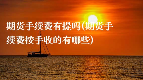期货手续费有提吗(期货手续费按手收的有哪些)_https://www.xmqjcw.com_基金理财_第1张