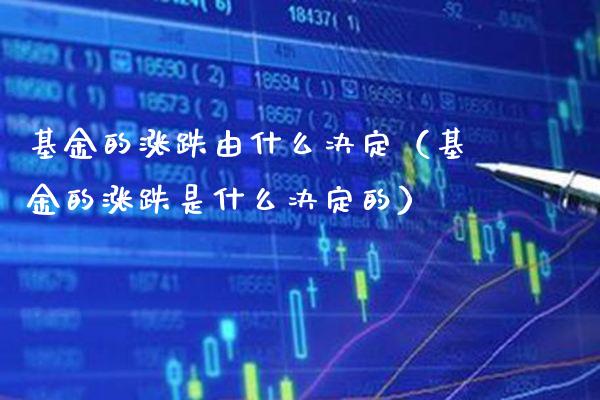 基金的涨跌由什么决定（基金的涨跌是什么决定的）_https://www.xmqjcw.com_基金理财_第1张