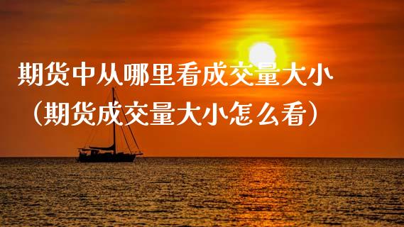 期货中从哪里看成交量大小（期货成交量大小怎么看）_https://www.xmqjcw.com_期货行情_第1张