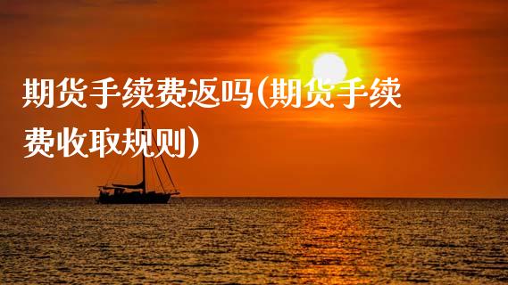 期货手续费返吗(期货手续费收取规则)_https://www.xmqjcw.com_基金理财_第1张
