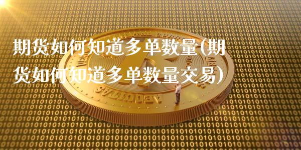 期货如何知道多单数量(期货如何知道多单数量交易)_https://www.xmqjcw.com_期货行情_第1张
