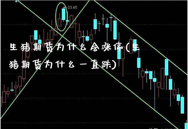 生猪期货为什么会涨停(生猪期货为什么一直跌)_https://www.xmqjcw.com_基金理财_第1张