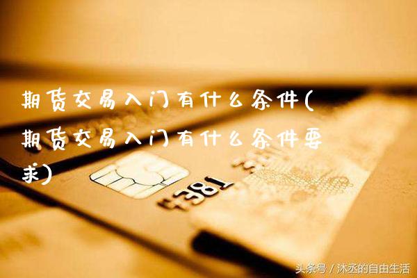 期货交易入门有什么条件(期货交易入门有什么条件要求)_https://www.xmqjcw.com_期货百科_第1张
