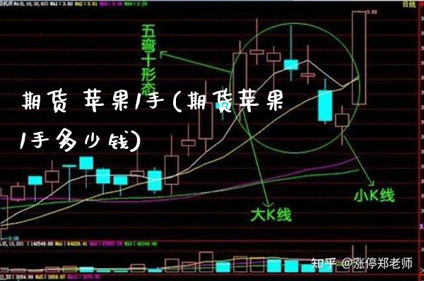 期货 苹果1手(期货苹果1手多少钱)_https://www.xmqjcw.com_期货直播室_第1张