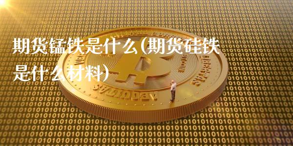 期货锰铁是什么(期货硅铁是什么材料)_https://www.xmqjcw.com_期货百科_第1张