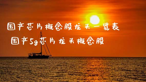 国产芯片概念股龙头一览表 国产5g芯片龙头概念股_https://www.xmqjcw.com_股票投资_第1张