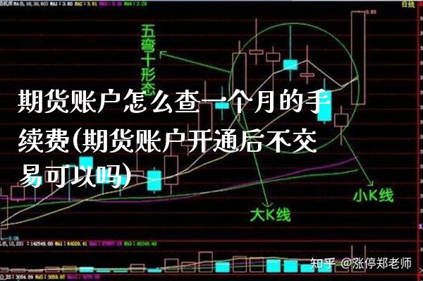 期货账户怎么查一个月的手续费(期货账户开通后不交易可以吗)_https://www.xmqjcw.com_期货行情_第1张