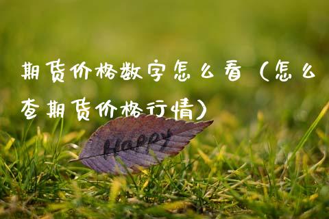 期货价格数字怎么看（怎么查期货价格行情）_https://www.xmqjcw.com_期货投资_第1张