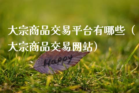 大宗商品交易平台有哪些（大宗商品交易网站）_https://www.xmqjcw.com_期货开户_第1张