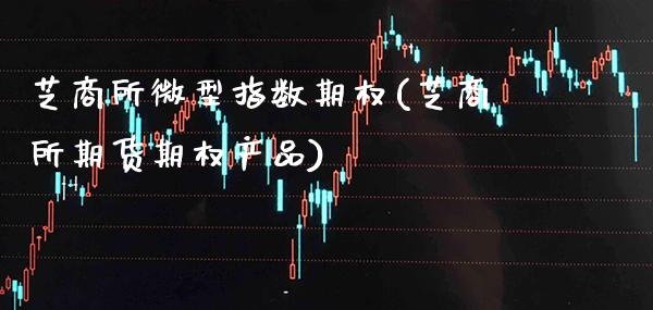 芝商所微型指数期权(芝商所期货期权产品)_https://www.xmqjcw.com_期货百科_第1张