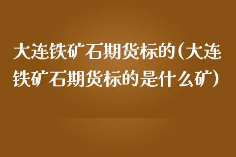 大连铁矿石期货标的(大连铁矿石期货标的是什么矿)_https://www.xmqjcw.com_期货直播室_第1张