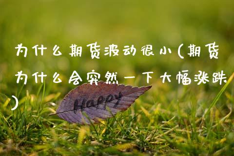 为什么期货波动很小(期货为什么会突然一下大幅涨跌)_https://www.xmqjcw.com_期货行情_第1张