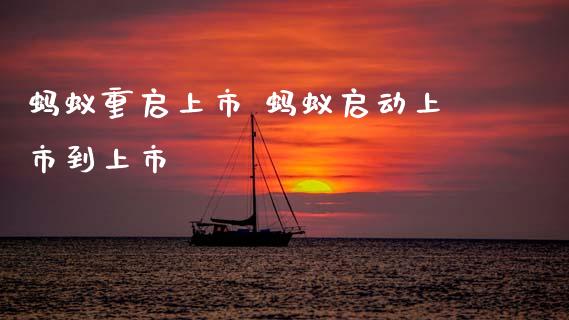 蚂蚁重启上市 蚂蚁启动上市到上市_https://www.xmqjcw.com_股票投资_第1张