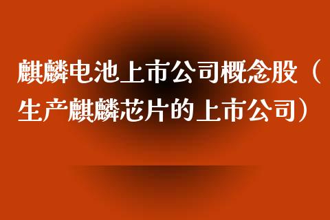 麒麟电池上市公司概念股（生产麒麟芯片的上市公司）_https://www.xmqjcw.com_股票投资_第1张