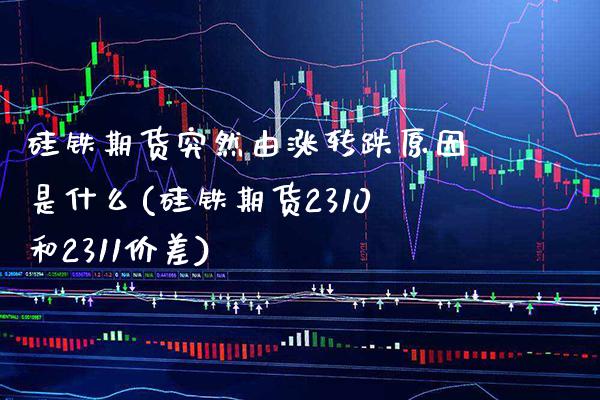 硅铁期货突然由涨转跌原因是什么(硅铁期货2310和2311价差)_https://www.xmqjcw.com_期货百科_第1张