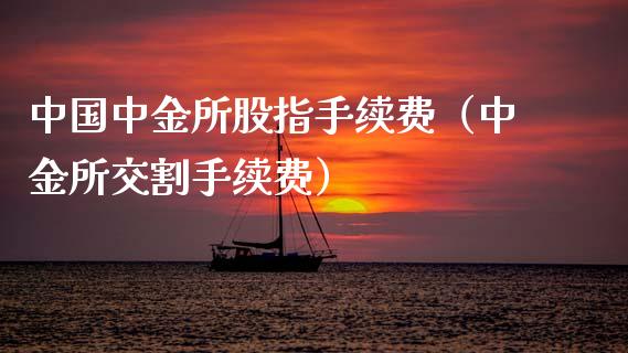 中国中金所股指手续费（中金所交割手续费）_https://www.xmqjcw.com_期货直播室_第1张