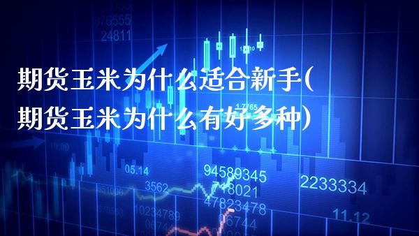 期货玉米为什么适合新手(期货玉米为什么有好多种)_https://www.xmqjcw.com_期货百科_第1张
