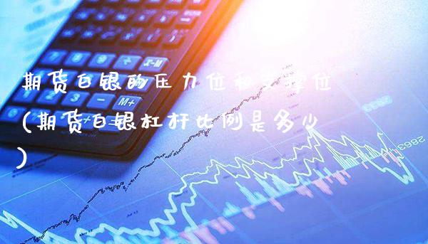 期货白银的压力位和支撑位(期货白银杠杆比例是多少)_https://www.xmqjcw.com_期货百科_第1张