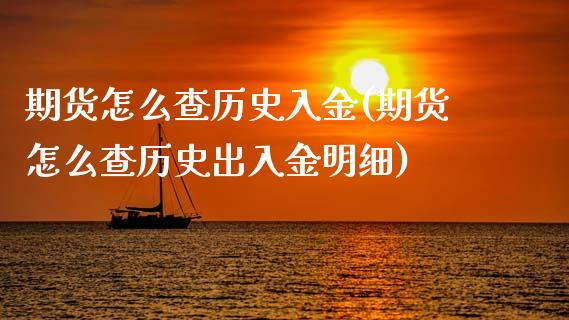期货怎么查历史入金(期货怎么查历史出入金明细)_https://www.xmqjcw.com_期货百科_第1张