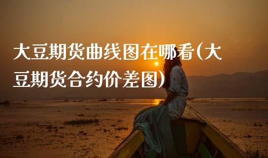 大豆期货曲线图在哪看(大豆期货合约价差图)_https://www.xmqjcw.com_期货百科_第1张