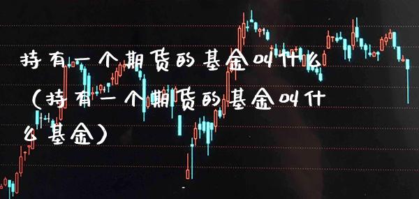 持有一个期货的基金叫什么（持有一个期货的基金叫什么基金）_https://www.xmqjcw.com_期货开户_第1张